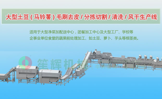 永城连续式土豆去皮清洗切割风干生产线